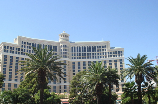 星级酒店91免费看黄片设备