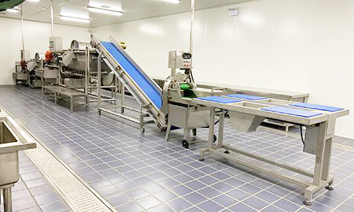 中央91免费看黄片设备1