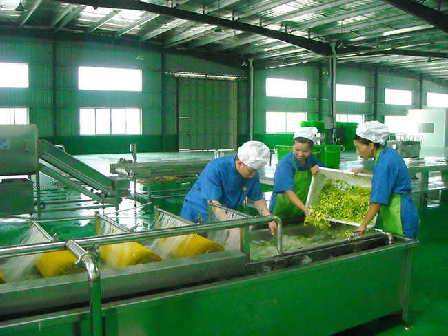 中央91免费看黄片设计