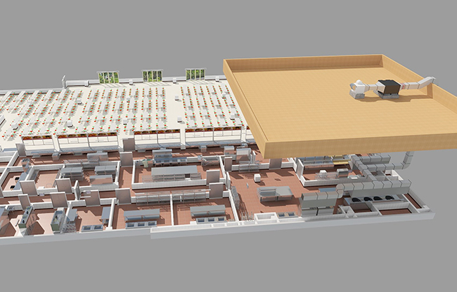 餐饮91免费看黄片排烟系统工程