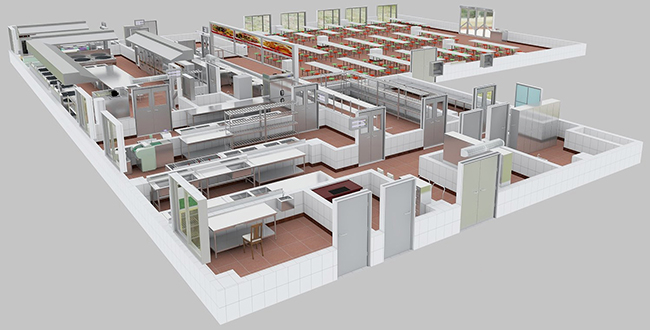 食堂91免费看黄片设计 食堂91免费看黄片设计