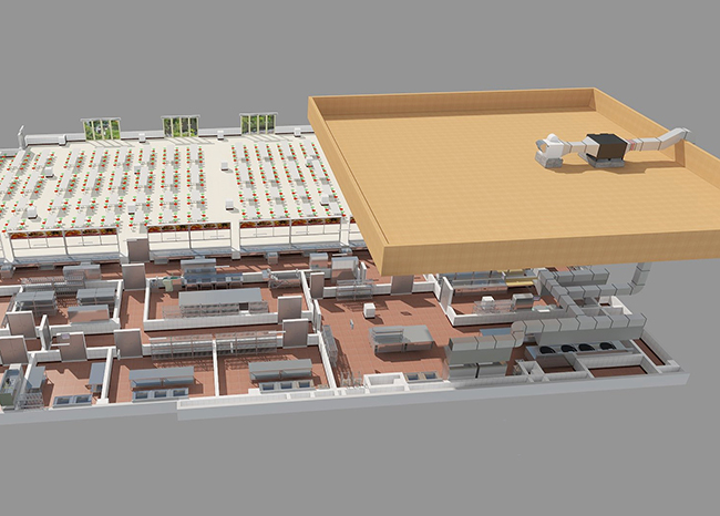 91免费看黄片抽排系统设计